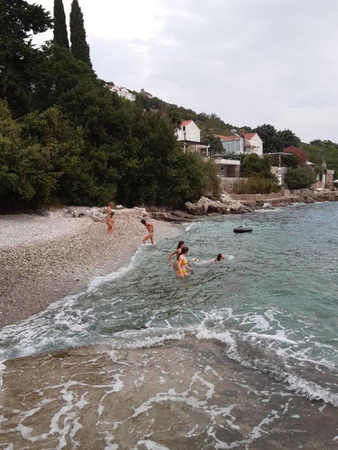 Oliva Apartments Lozica Dubrovnik Værelse billede